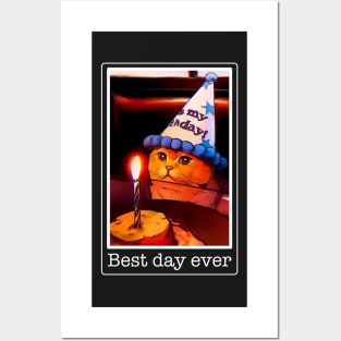 Cat meme birthday funny cake, best day, it's my party Posters and Art